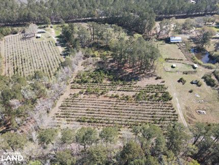 Farm and Ranch in Brunswick County, North Carolina