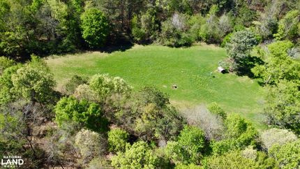 Undeveloped Land in Dallas County, Alabama
