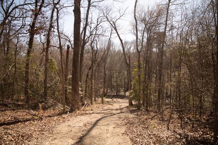 Undeveloped Land in Smith County, Texas