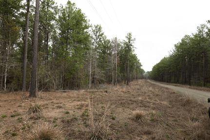 Land for sale in San Augustine County, Texas