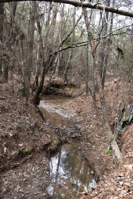 Land for sale in San Augustine County, Texas