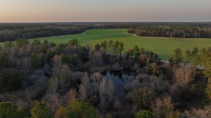 Timberland Property in Calhoun County, Georgia