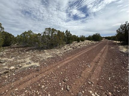 Waterfront Property in Navajo County, Arizona