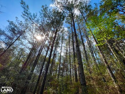 Land in Houston County, Alabama