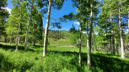 Recreational Property in Sanpete County, Utah