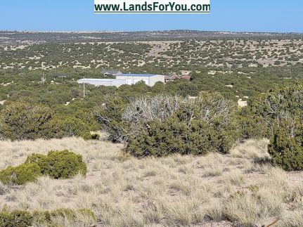 Timberland Property in Apache County, Arizona