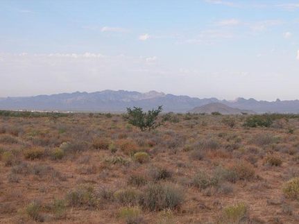 Riverfront Property in Mohave County, Arizona