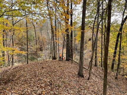 Timberland Property in Yazoo County, Mississippi
