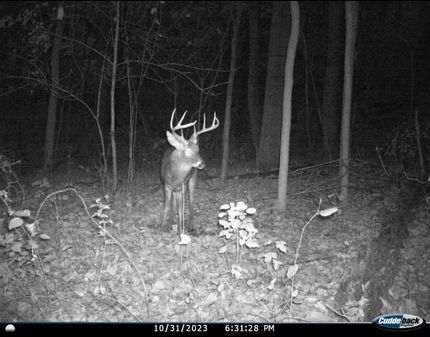 Hunting Property in Cumberland County, Pennsylvania