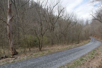 Timberland Property in Washington County, Virginia