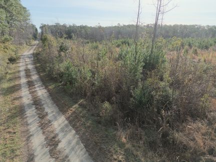 Undeveloped Land in Craven County, North Carolina