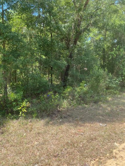 Undeveloped Land in Putnam County, Florida
