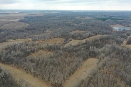 Timberland Property in Otter Tail County, Minnesota