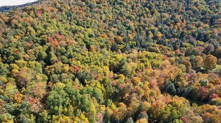 Undeveloped Land in Delaware County, New York