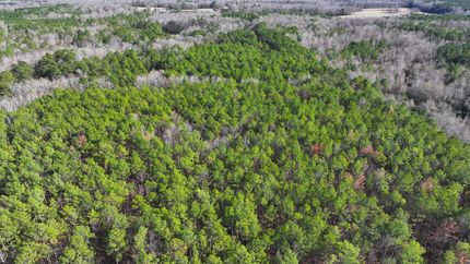 Farm and Ranch in Lowndes County, Mississippi