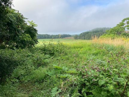 Land in Waldo County, Maine