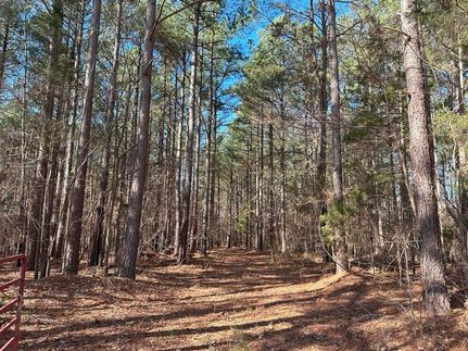 Undeveloped Land in Nottoway County, Virginia