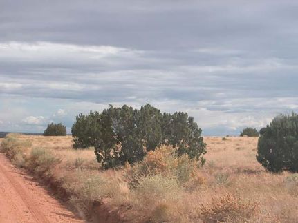 Waterfront Property in Navajo County, Arizona