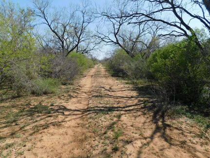 Land in Frio County, Texas