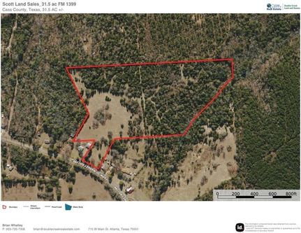 Undeveloped Land in Cass County, Texas