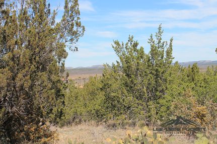 Land in Coke County, Texas