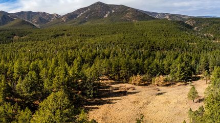 Land in Colfax County, New Mexico