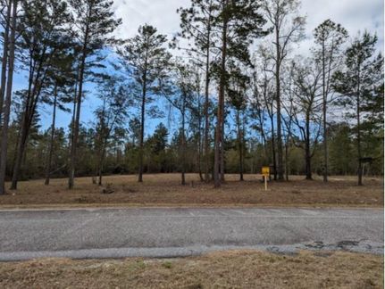 Recreational Property in Hamilton County, Florida