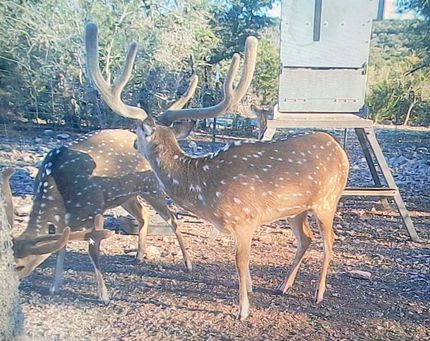 Timberland Property for sale in Edwards County, Texas