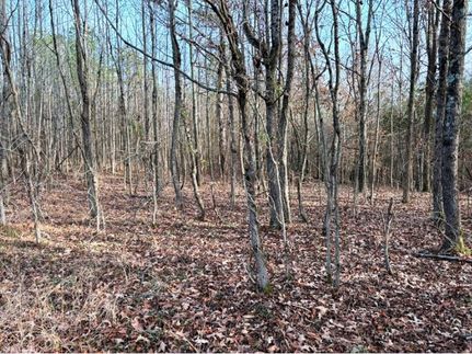 Farm and Ranch in Colbert County, Alabama