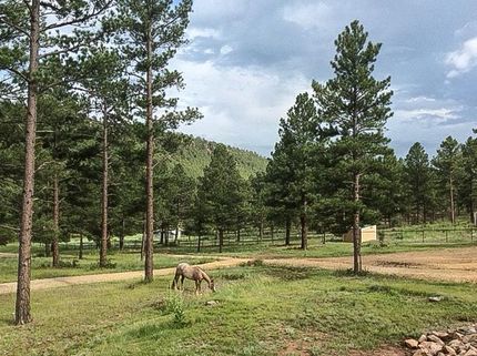 House in Mora County, New Mexico