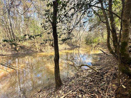 Recreational Property in Jasper County, Mississippi