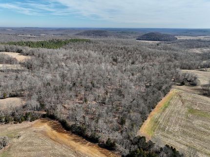 Timberland Property in Crittenden County, Kentucky