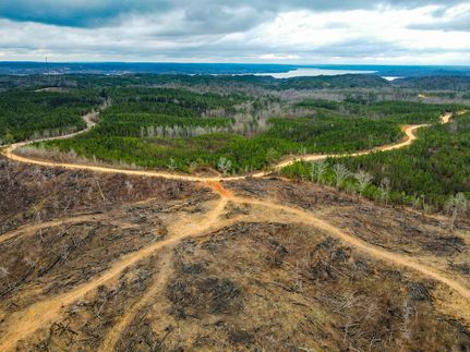 Undeveloped Land in Lauderdale County, Alabama