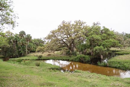 Farm and Ranch in Highlands County, Florida
