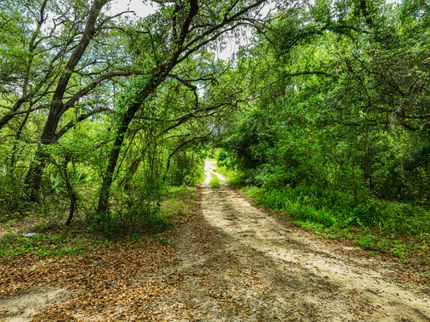 Homesite in Putnam County, Florida