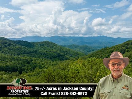 Undeveloped Land in Jackson County, North Carolina