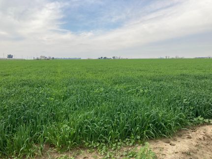 Land for sale in Kern County, California