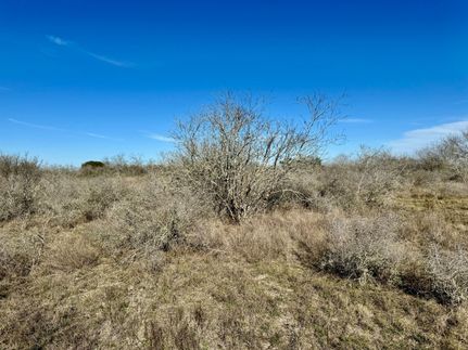 Recreational Property in Karnes County, Texas