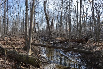 Land for sale in Fulton County, Ohio