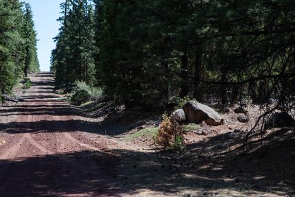 Undeveloped Land in Modoc County, California