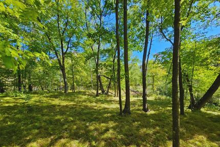 Undeveloped Land in Crow Wing County, Minnesota
