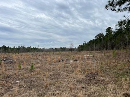Hunting Property in Claiborne Parish, Louisiana