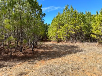 Timberland Property in Attala County, Mississippi