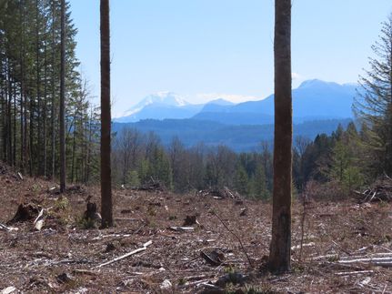 Recreational Property in Lewis County, Washington