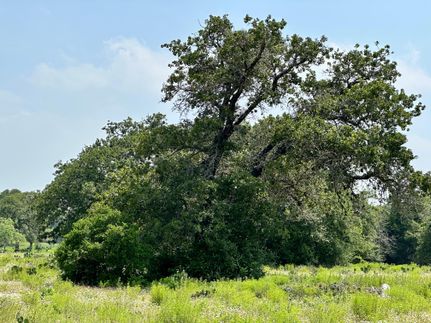 Land in Caldwell County, Texas