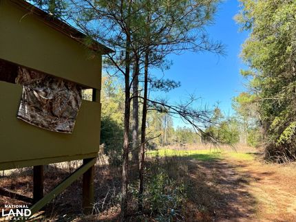 Recreational Property in Monroe County, Alabama