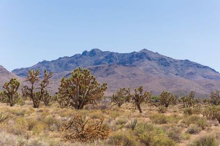 Recreational Property in Mohave County, Arizona