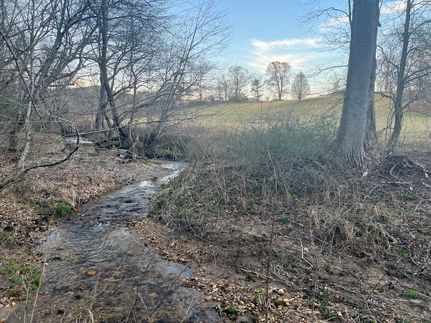 Farm and Ranch in Wilkes County, North Carolina