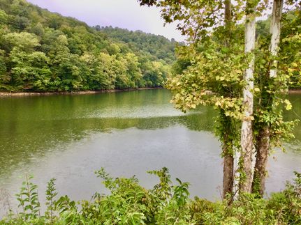Farm and Ranch in Claiborne County, Tennessee