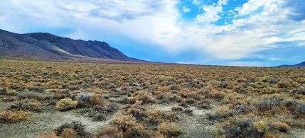 Farm and Ranch in Humboldt County, Nevada